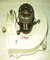 Photo and technical details Image
