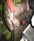 Doppelschleifbock 1057 00