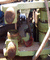 Treuil 3235 03