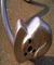 Kneading arm 4737 01